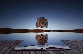 "Life is a journey" is a timeless metaphor reminding us that living is about continuous growth, collecting experiences, and learning from obstacles rather than rushing to a final destination. It encourages you to embrace the unscripted moments along your unique path.